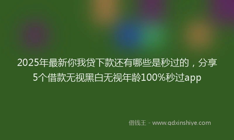 2025年最新你我贷下款还有哪些是秒过的，分享5个借款无视黑白无视年龄100%秒过app