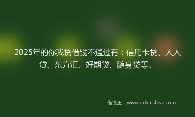 2025年的你我贷借钱不通过有：信用卡贷、人人贷、东方汇、好期贷、随身贷等。