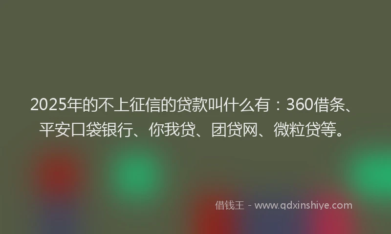 2025年的不上征信的贷款叫什么有：360借条、平安口袋银行、你我贷、团贷网、微粒贷等。