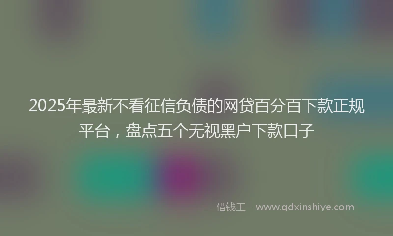 2025年最新不看征信负债的网贷百分百下款正规平台，盘点五个无视黑户下款口子