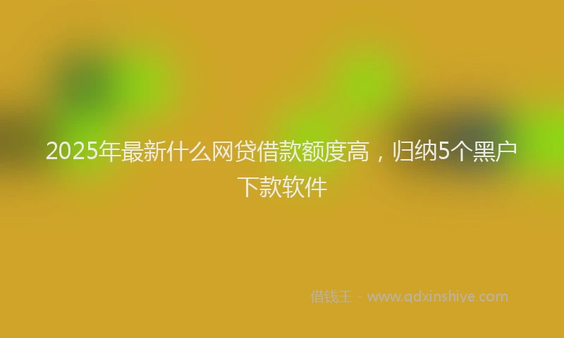 2025年最新什么网贷借款额度高，归纳5个黑户下款软件