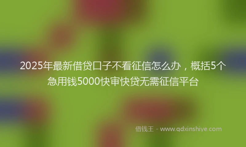 2025年最新借贷口子不看征信怎么办，概括5个急用钱5000快审快贷无需征信平台