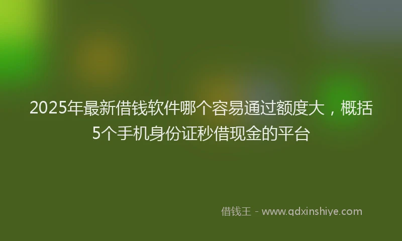 2025年最新借钱软件哪个容易通过额度大，概括5个手机身份证秒借现金的平台