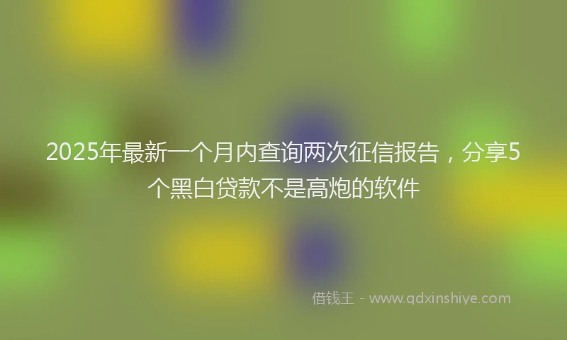 2025年最新一个月内查询两次征信报告，分享5个黑白贷款不是高炮的软件