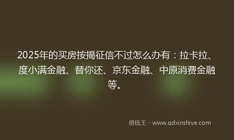 2025年的买房按揭征信不过怎么办有：拉卡拉、度小满金融、替你还、京东金融、中原消费金融等。