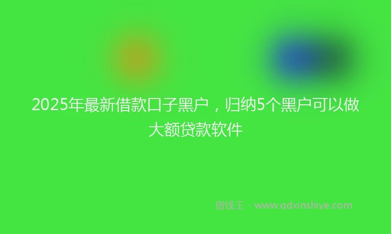 2025年最新借款口子黑户，归纳5个黑户可以做大额贷款软件