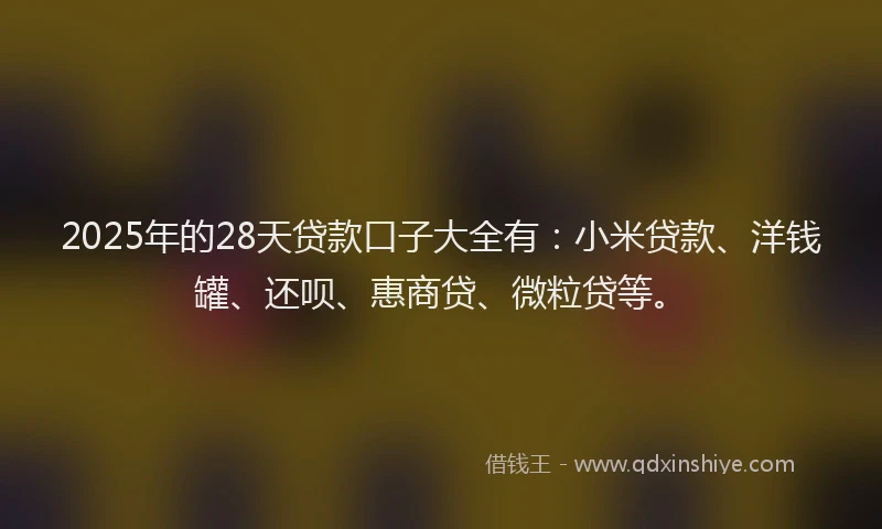 2025年的28天贷款口子大全有：小米贷款、洋钱罐、还呗、惠商贷、微粒贷等。