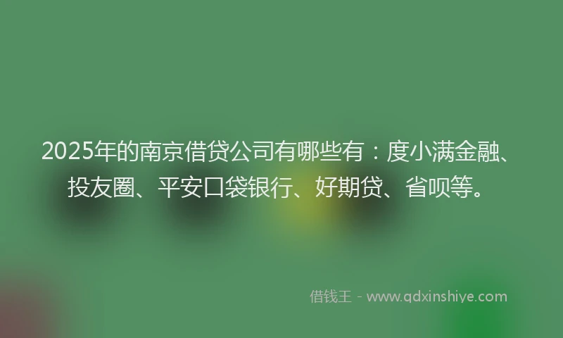 2025年的南京借贷公司有哪些有：度小满金融、投友圈、平安口袋银行、好期贷、省呗等。