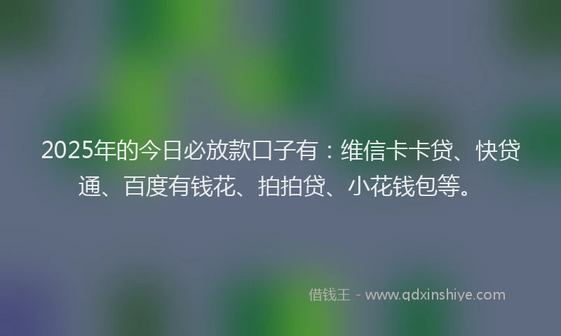 2025年的今日必放款口子有：维信卡卡贷、快贷通、百度有钱花、拍拍贷、小花钱包等。