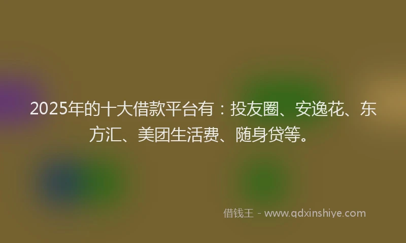 2025年的十大借款平台有：投友圈、安逸花、东方汇、美团生活费、随身贷等。