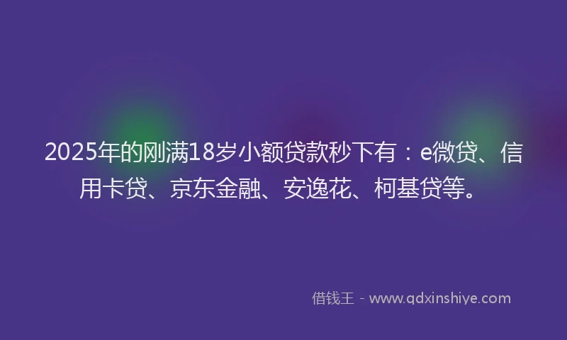 2025年的刚满18岁小额贷款秒下有：e微贷、信用卡贷、京东金融、安逸花、柯基贷等。