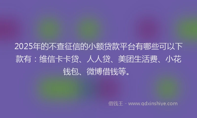 2025年的不查征信的小额贷款平台有哪些可以下款有：维信卡卡贷、人人贷、美团生活费、小花钱包、微博借钱等。