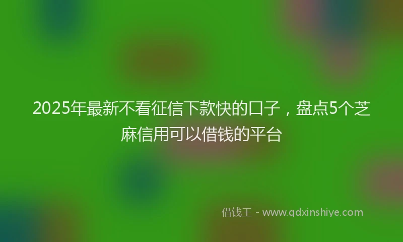 2025年最新不看征信下款快的口子，盘点5个芝麻信用可以借钱的平台