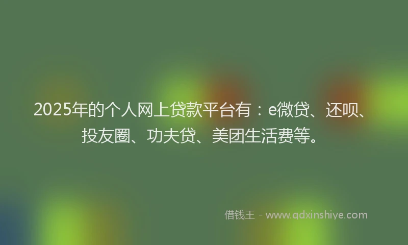 2025年的个人网上贷款平台有：e微贷、还呗、投友圈、功夫贷、美团生活费等。