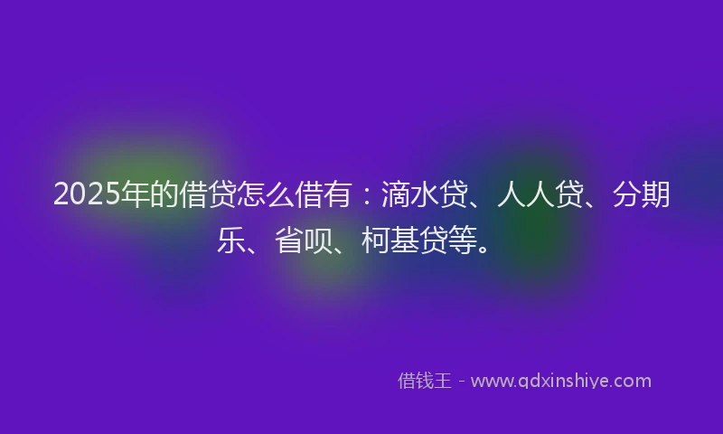 2025年的借贷怎么借有：滴水贷、人人贷、分期乐、省呗、柯基贷等。