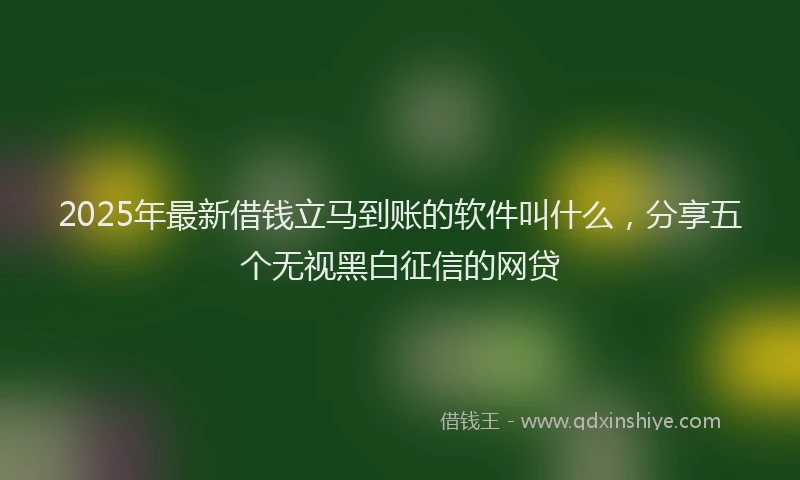 2025年最新借钱立马到账的软件叫什么，分享五个无视黑白征信的网贷