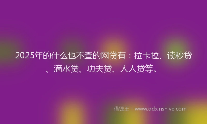 2025年的什么也不查的网贷有：拉卡拉、读秒贷、滴水贷、功夫贷、人人贷等。