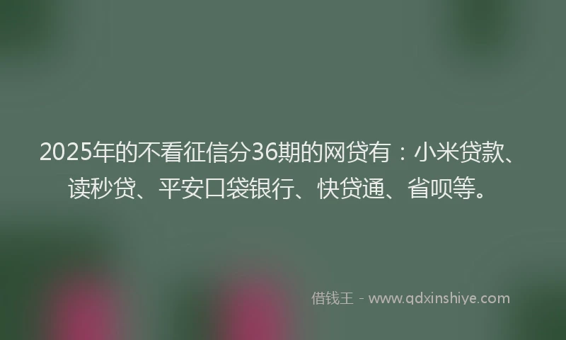 2025年的不看征信分36期的网贷有：小米贷款、读秒贷、平安口袋银行、快贷通、省呗等。