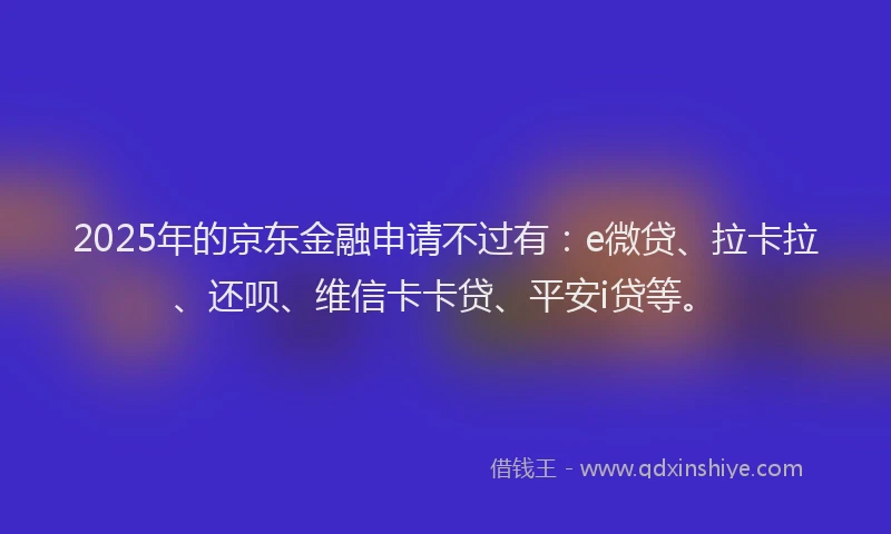 2025年的京东金融申请不过有：e微贷、拉卡拉、还呗、维信卡卡贷、平安i贷等。