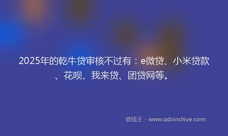 2025年的乾牛贷审核不过有：e微贷、小米贷款、花呗、我来贷、团贷网等。