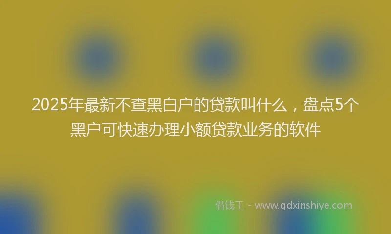 2025年最新不查黑白户的贷款叫什么，盘点5个黑户可快速办理小额贷款业务的软件