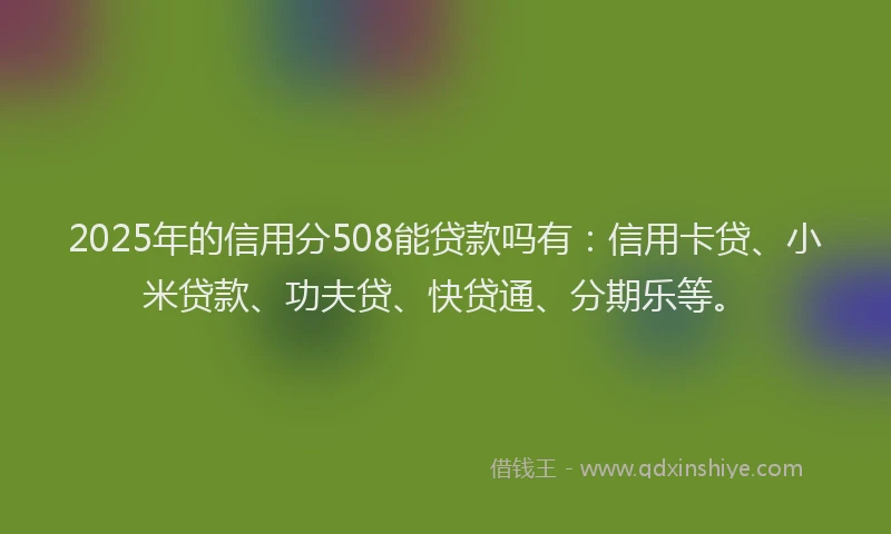 2025年的信用分508能贷款吗有：信用卡贷、小米贷款、功夫贷、快贷通、分期乐等。