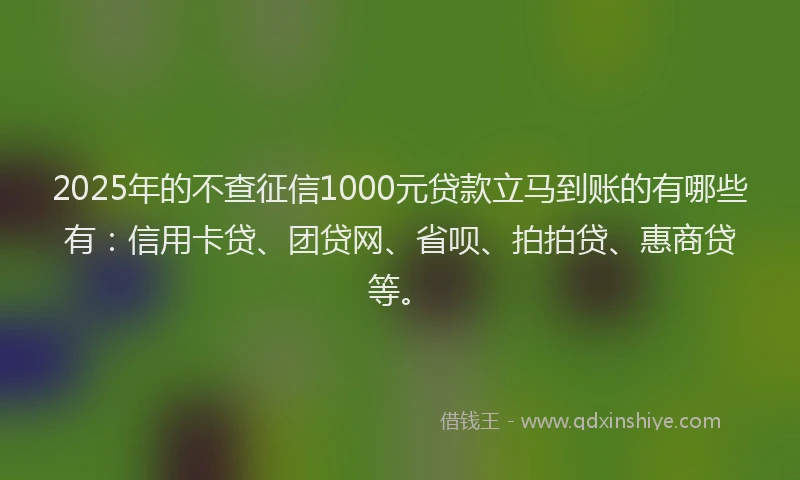 2025年的不查征信1000元贷款立马到账的有哪些有：信用卡贷、团贷网、省呗、拍拍贷、惠商贷等。