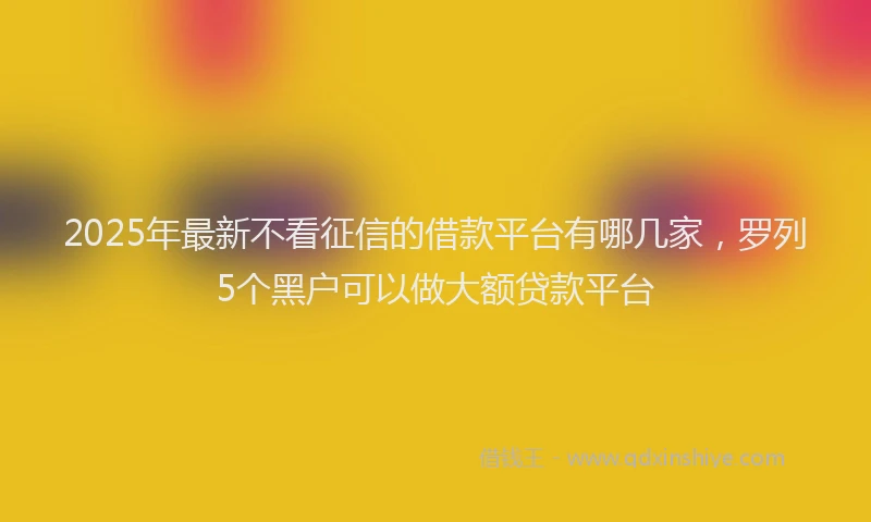 2025年最新不看征信的借款平台有哪几家，罗列5个黑户可以做大额贷款平台