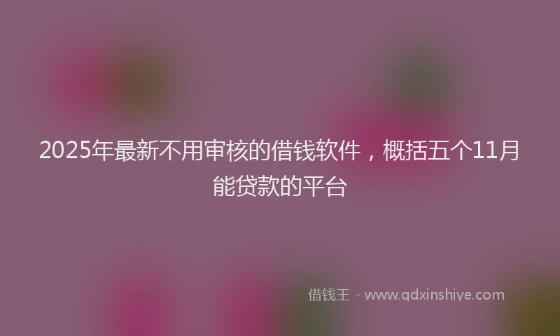 2025年最新不用审核的借钱软件，概括五个11月能贷款的平台