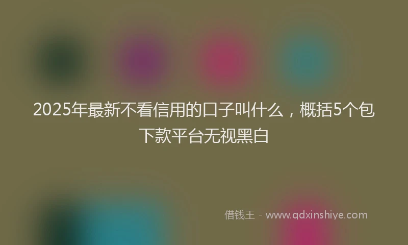 2025年最新不看信用的口子叫什么，概括5个包下款平台无视黑白