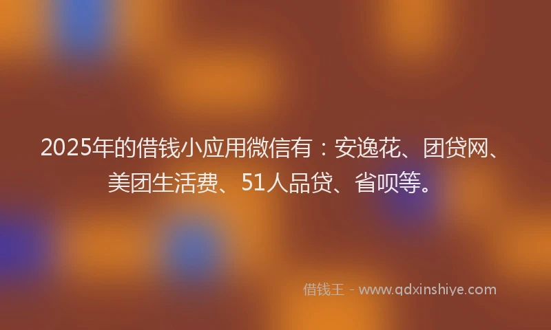 2025年的借钱小应用微信有：安逸花、团贷网、美团生活费、51人品贷、省呗等。
