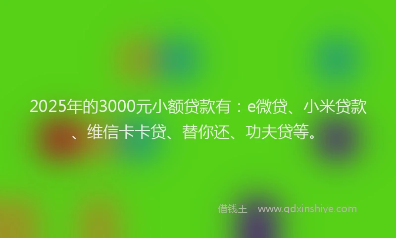 2025年的3000元小额贷款有：e微贷、小米贷款、维信卡卡贷、替你还、功夫贷等。