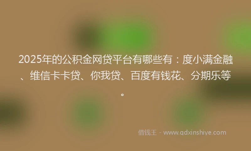 2025年的公积金网贷平台有哪些有：度小满金融、维信卡卡贷、你我贷、百度有钱花、分期乐等。
