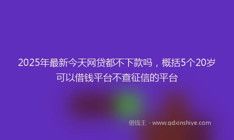 2025年最新今天网贷都不下款吗，概括5个20岁可以借钱平台不查征信的平台