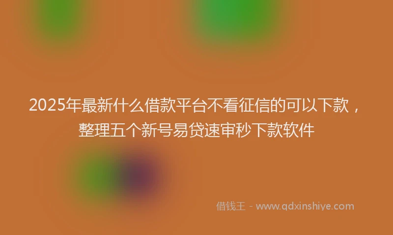 2025年最新什么借款平台不看征信的可以下款，整理五个新号易贷速审秒下款软件