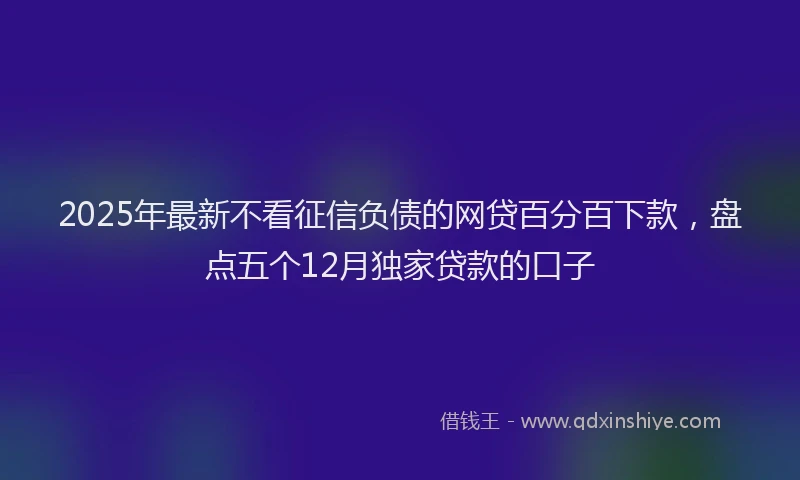 2025年最新不看征信负债的网贷百分百下款，盘点五个12月独家贷款的口子