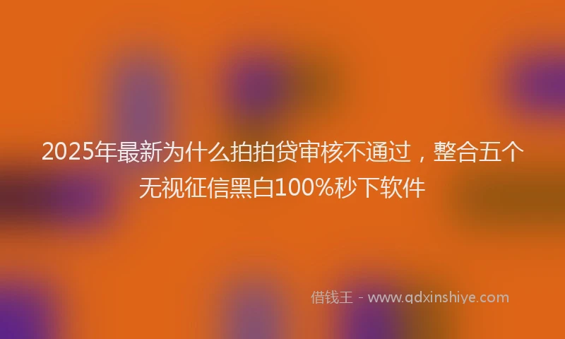 2025年最新为什么拍拍贷审核不通过，整合五个无视征信黑白100%秒下软件