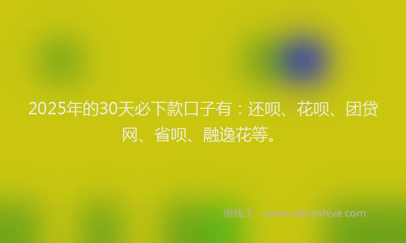 2025年的30天必下款口子有：还呗、花呗、团贷网、省呗、融逸花等。