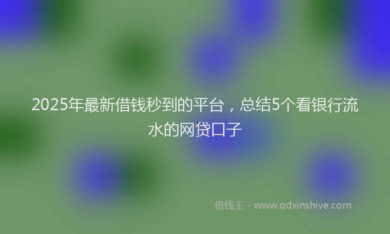 2025年最新借钱秒到的平台，总结5个看银行流水的网贷口子