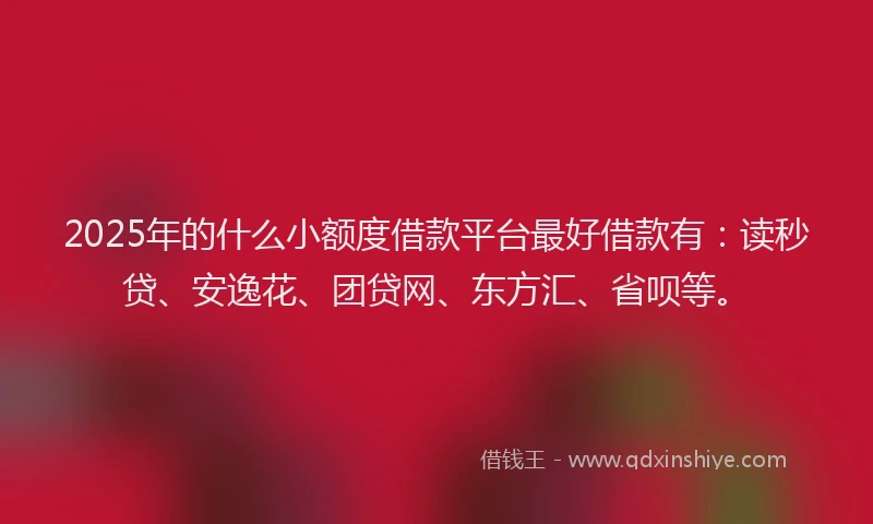 2025年的什么小额度借款平台最好借款有：读秒贷、安逸花、团贷网、东方汇、省呗等。