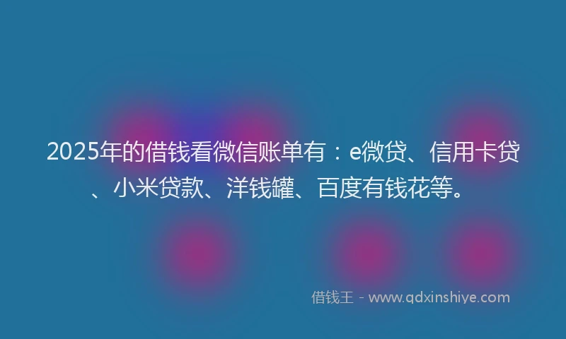 2025年的借钱看微信账单有：e微贷、信用卡贷、小米贷款、洋钱罐、百度有钱花等。