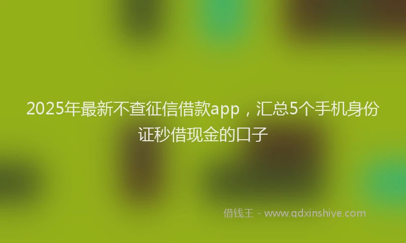 2025年最新不查征信借款app，汇总5个手机身份证秒借现金的口子