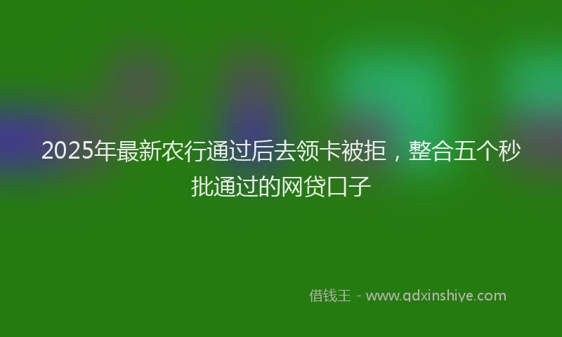 2025年最新农行通过后去领卡被拒，整合五个秒批通过的网贷口子