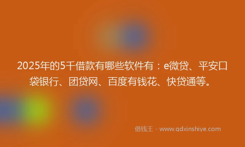 2025年的5千借款有哪些软件有：e微贷、平安口袋银行、团贷网、百度有钱花、快贷通等。