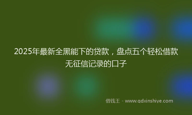 2025年最新全黑能下的贷款，盘点五个轻松借款无征信记录的口子
