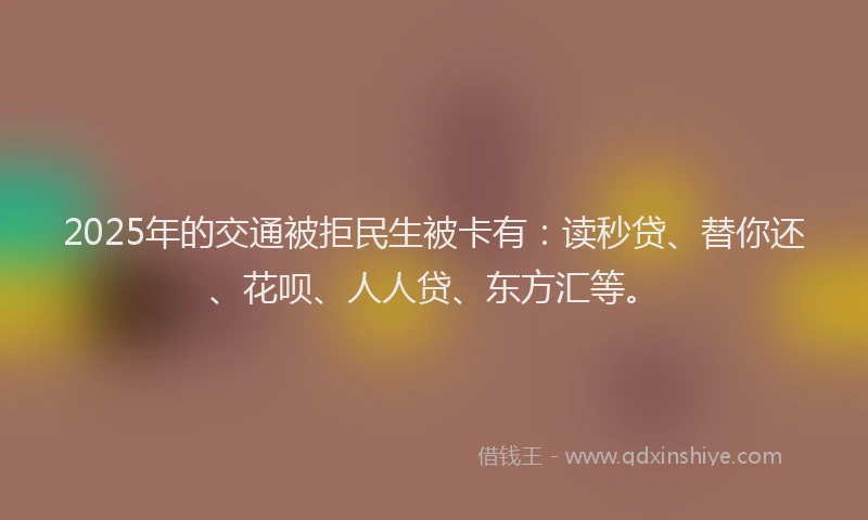 2025年的交通被拒民生被卡有：读秒贷、替你还、花呗、人人贷、东方汇等。