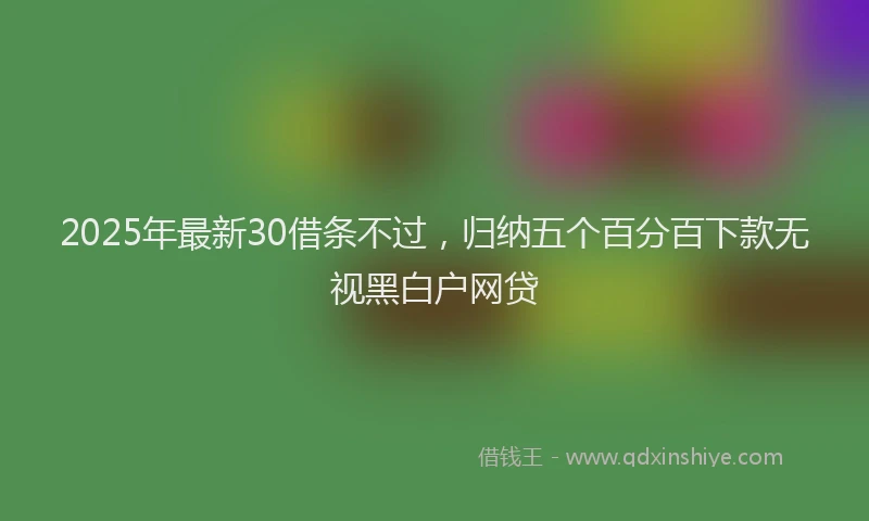 2025年最新30借条不过，归纳五个百分百下款无视黑白户网贷