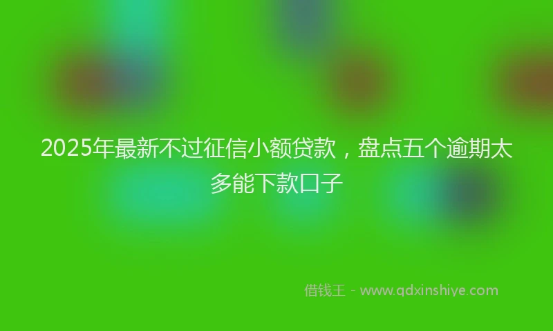 2025年最新不过征信小额贷款，盘点五个逾期太多能下款口子