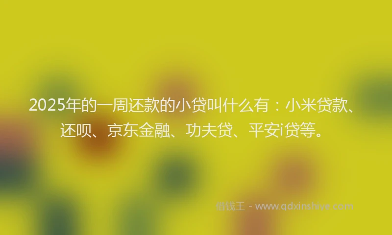 2025年的一周还款的小贷叫什么有：小米贷款、还呗、京东金融、功夫贷、平安i贷等。