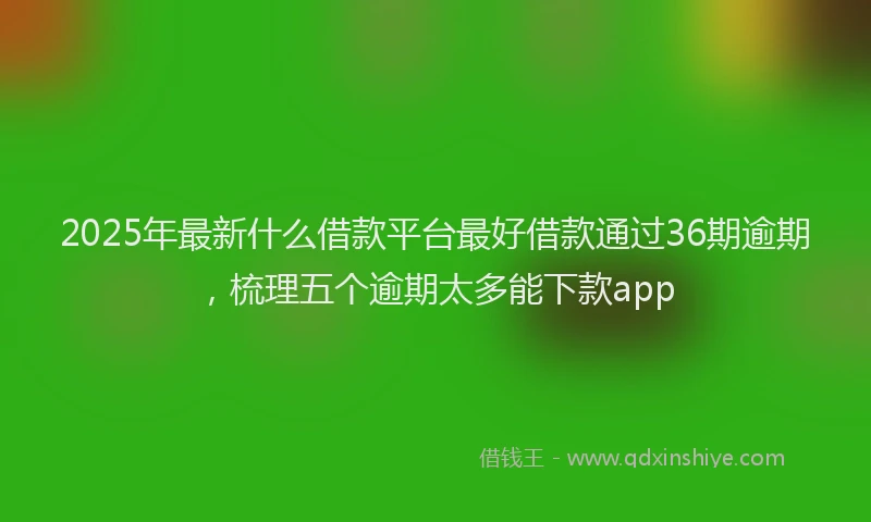 2025年最新什么借款平台最好借款通过36期逾期，梳理五个逾期太多能下款app